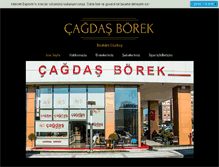 Tablet Screenshot of cagdasborek.com